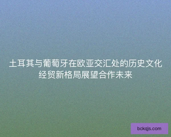 土耳其与葡萄牙在欧亚交汇处的历史文化经贸新格局展望合作未来
