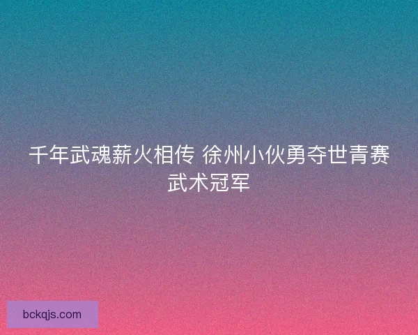千年武魂薪火相传 徐州小伙勇夺世青赛武术冠军