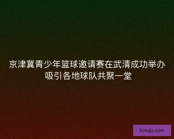 京津冀青少年篮球邀请赛在武清成功举办 吸引各地球队共聚一堂
