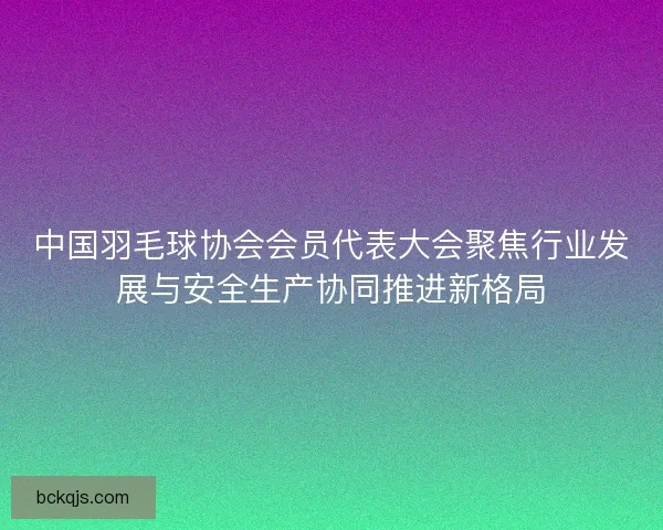 中国羽毛球协会会员代表大会聚焦行业发展与安全生产协同推进新格局 中国羽毛球协会会员代表大会聚焦行业发展与安全生产协同推进新格局